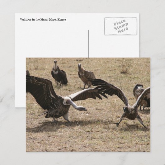 禿頭の戦い ポストカード (正面/裏面)