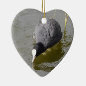 禿頭のCoot セラミックオーナメント (右)