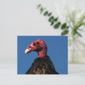 禿頭プロファイル ポストカード (スタンド正面)