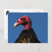 禿頭プロファイル ポストカード (正面/裏面)