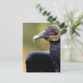 禿頭ポートレート ポストカード (スタンド正面)