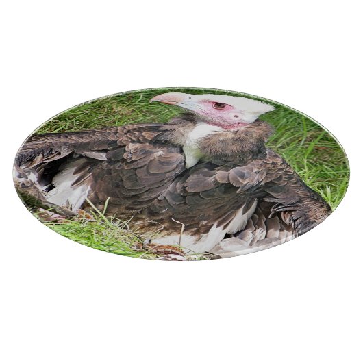 禿頭 カッティングボード (角)