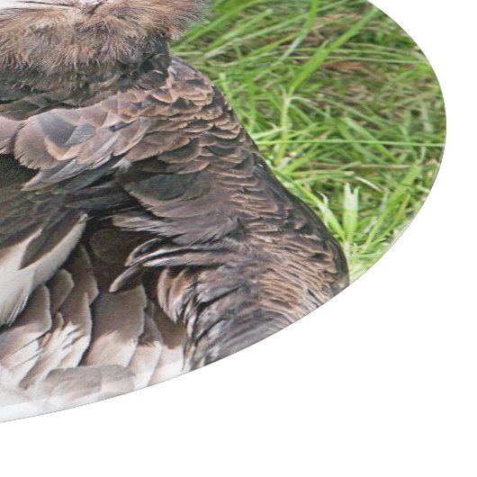 禿頭 カッティングボード (角)