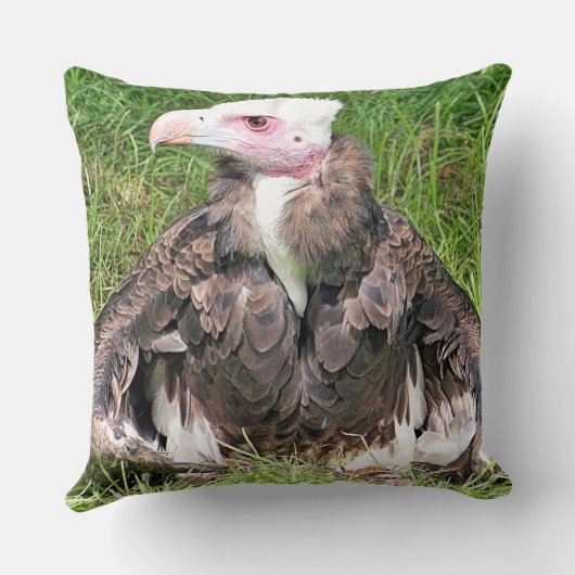 禿頭 クッション (裏面)