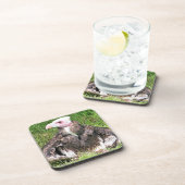 禿頭 コースター (右側)