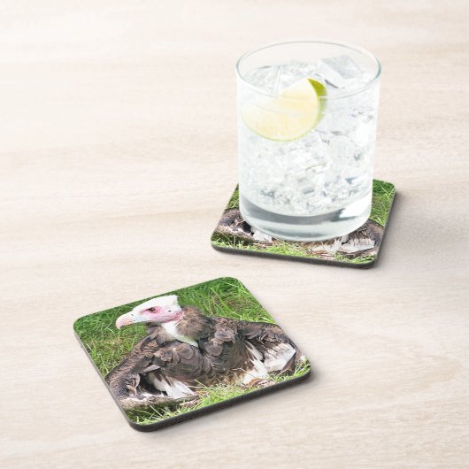 禿頭 コースター (右側)