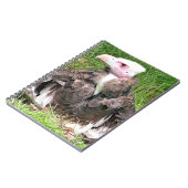 禿頭 ノートブック (左側)