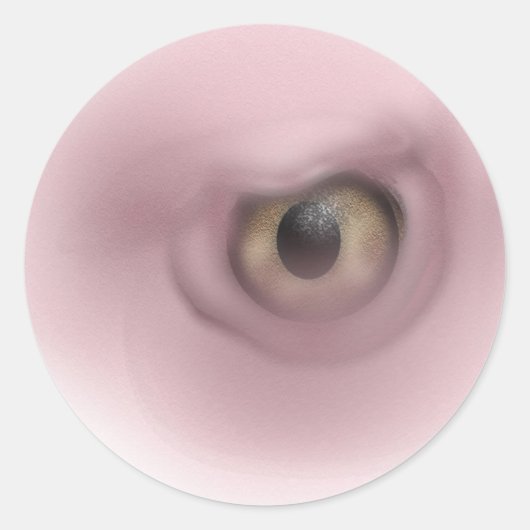 禿鷲のような目 ラウンドシール (正面)