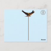 禿鷲の像 ポストカード (裏面)