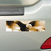 禿鷲の着陸 バンパーステッカー (車上)