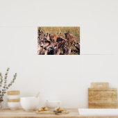 禿鷹のハイエナの餌食 ポスター (キッチン)