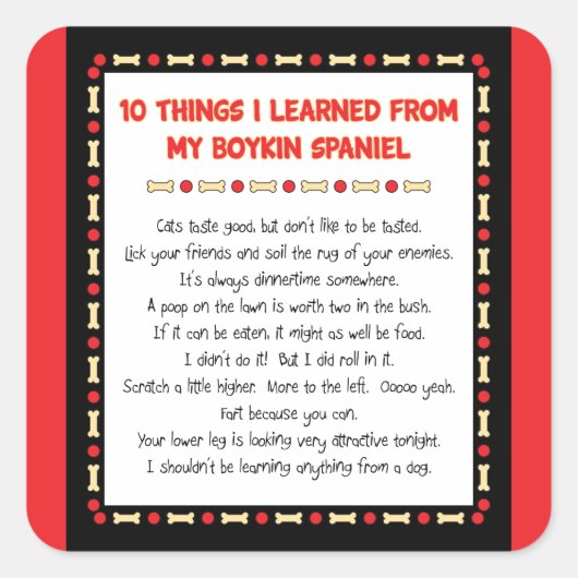 私おもしろいのボ学インスパニエル犬 スクエアシール (正面)