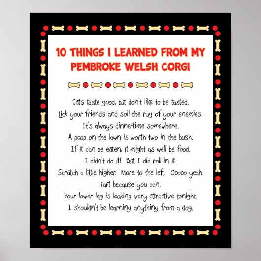 私おもしろいの学ウェルシュコーギー ポスター (正面)
