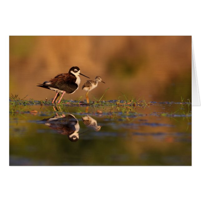 私および私のひよこ (正面横)