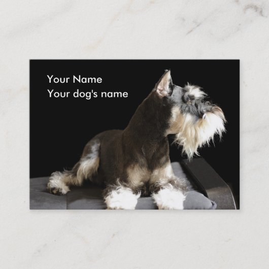 私および私の最も最高のな相棒 名刺 (正面)