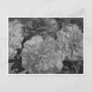 「。..私からあなたへの愛で…」 ポストカード