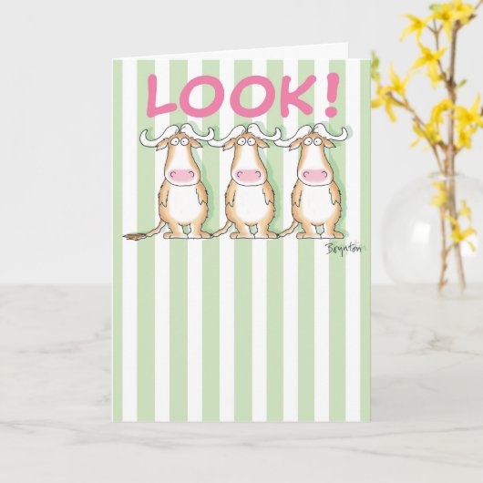 私からのヌー カード (黄色い花)