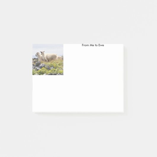 私からエウへ ポストイット (正面)