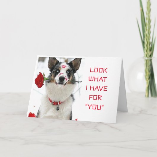 私があなたのために持っているものを見る"特別な日または夜 カード (正面)