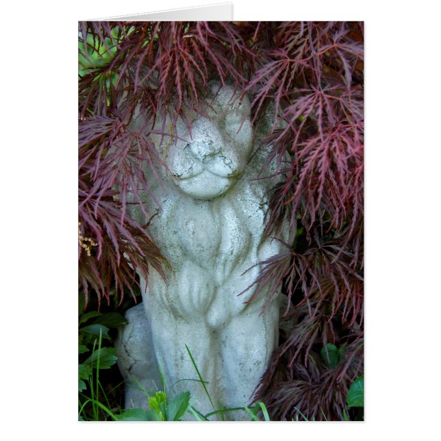 私がとどろくのを見て下さい (正面)