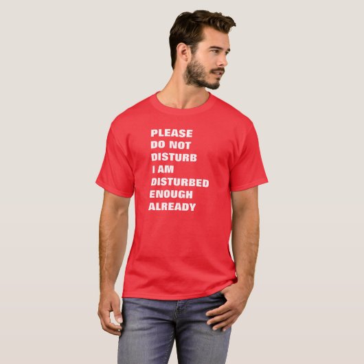 私がもう十分に動揺しているので、気を悪くしないでください Tシャツ (正面フル)