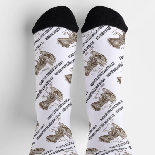 私がもし耳に聞こえないことわざ ソックス (上部)