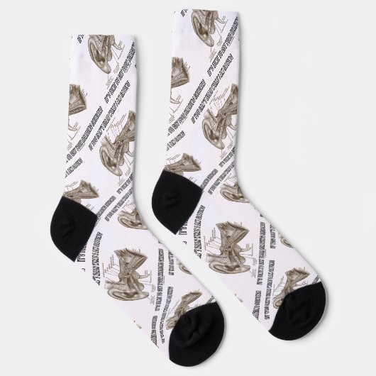 私がもし耳に聞こえないことわざ ソックス (右)