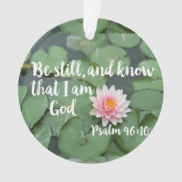 私がクリスチャンの聖書であることを今でも知っている オーナメント