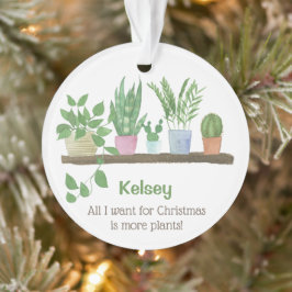 私がクリスマスに欲しいのは植物の数が多い オーナメント