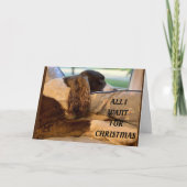 私がクリスマスに欲しいのは、*あなた*に会うことだけだ シーズンカード (正面)