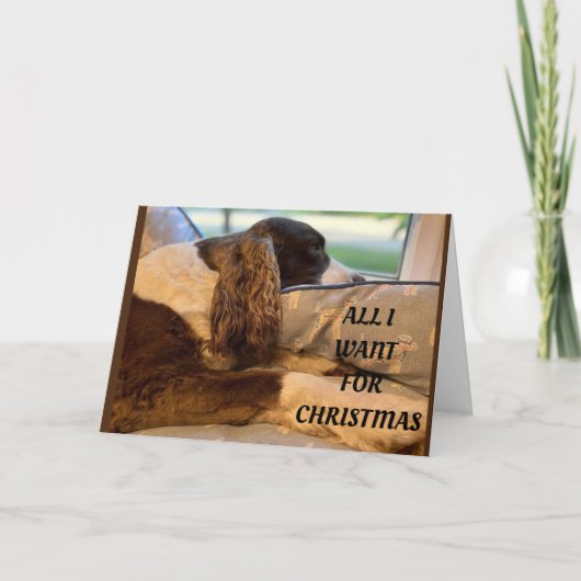 私がクリスマスに欲しいのは、*あなた*に会うことだけだ シーズンカード (正面)