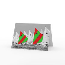 私がクリスマスに欲しいのは、日に焼ける魚だけだ