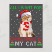 私がクリスマスに欲しいのは、猫の醜いサンタ猫だけだ ポストカード (正面)