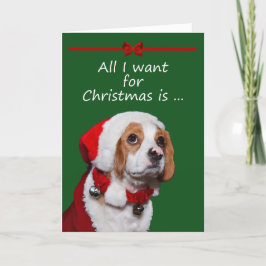 私がクリスマスの挨拶状のためにほしいすべて シーズンカード