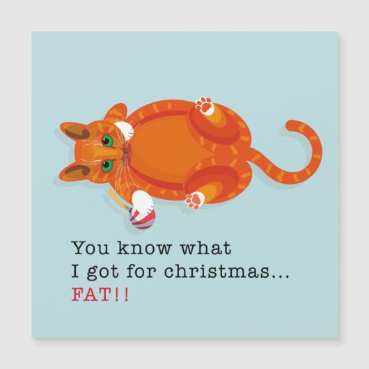私がクリスマス得に何をしたか知ってる…FAT!! (正面)