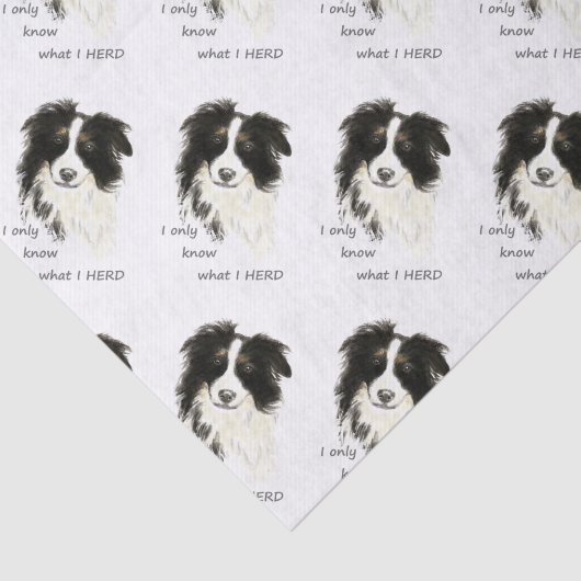 私がコリーユーモアの引用文を縁ど知っているだけ 薄葉紙 (詳細)