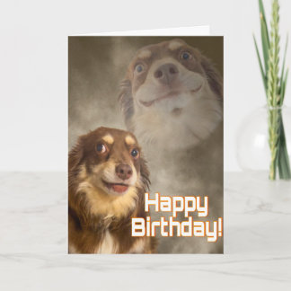 私がドラマの中心人物？ カード