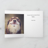 私がドラマの中心人物? カード (内部)