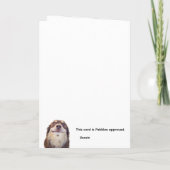 私がドラマの原因？ カード (裏面)