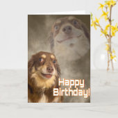 私がドラマの原因？ カード (黄色い花)