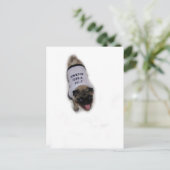 「私がボスだ」 ポストカード (スタンド正面)