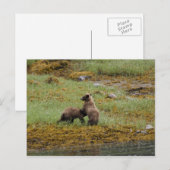 私がボス ポストカード (正面/裏面)