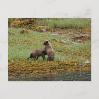 私がボス ポストカード