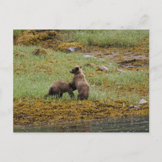 私がボス ポストカード (正面)