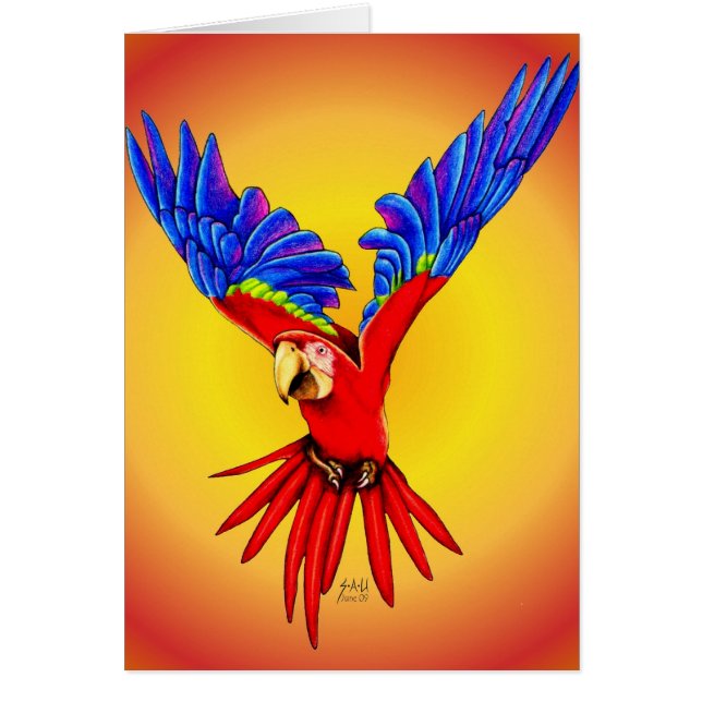 私が上陸するためにいるところで仮定して下さい (正面)