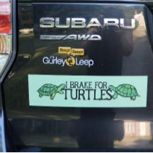 私が亀のバンパーにブレーキをかける