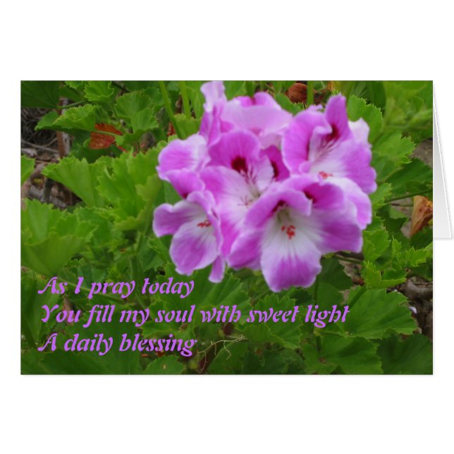 私が今日祈るように (正面横)