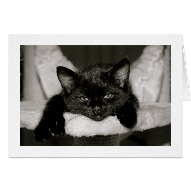 私が付いている昼寝 (正面横)