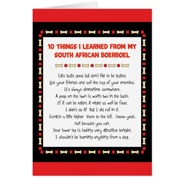 私が南アフリカのBoerboelから学んだおもしろいな事 (正面)