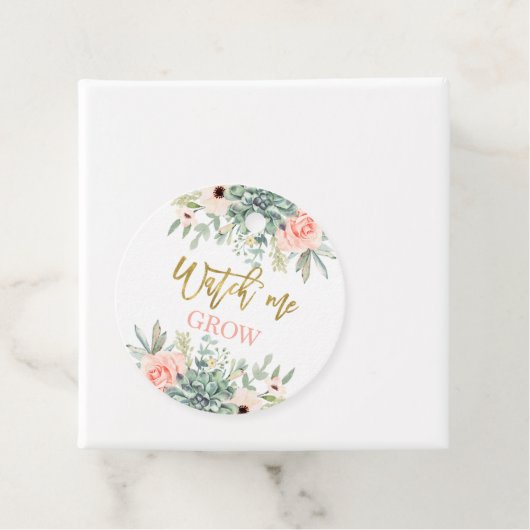 私が多肉栽培するのを見る フェイバータグ (インサイチュ)